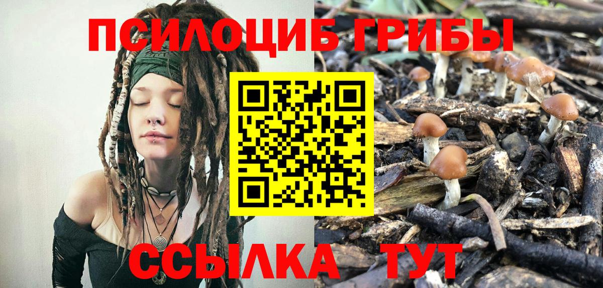 Псилоцибиновые грибы GOLDEN TEACHER  Вход с VPN  Новокубанск  Галлюциногенные грибы мицелий 
