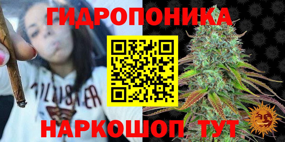 Бошки марихуана индика Новокубанск